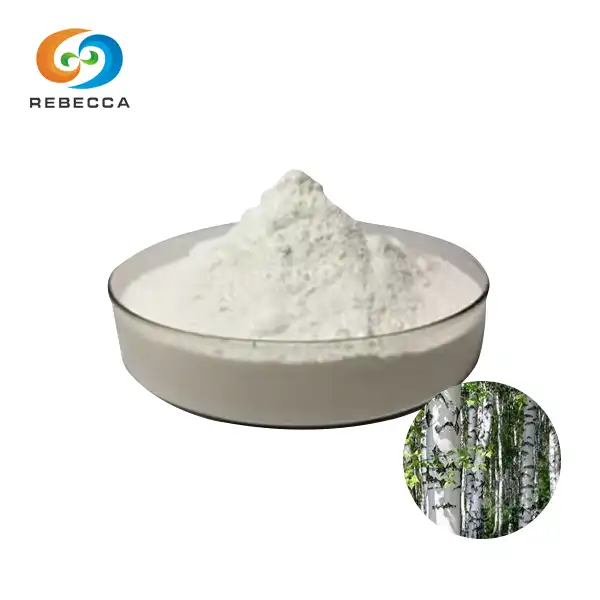 Pure Brich Bark Extract Powder